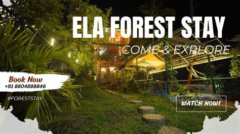 ela forest stay|ELA FOREST STAY (Thodupuzha) .